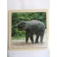 Пазл-фото в рамці"Слон"